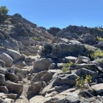 Trail to Ellis Peak.