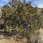 Decorated trees along Christmas Tree Pass Rd. Spirit Mountain